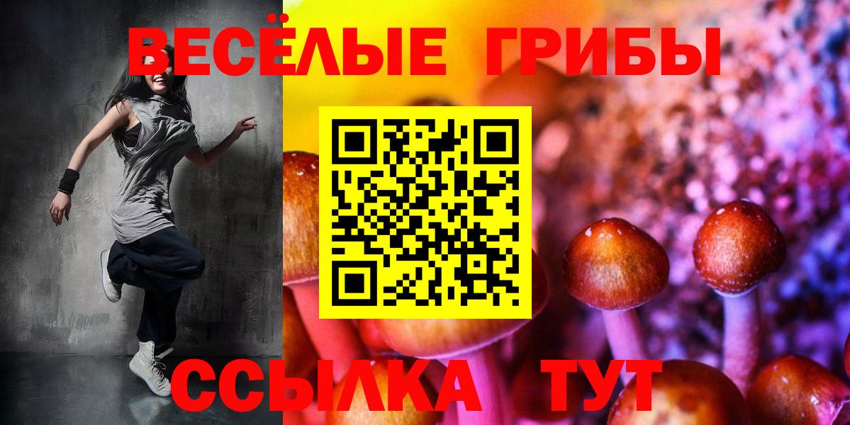 Сафоново  Галлюциногенные грибы Cubensis  Вход с VPN 