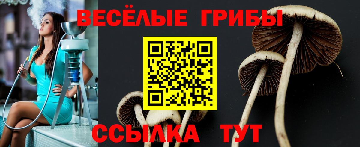 Галлюциногенные грибы Magic Shrooms Сафоново