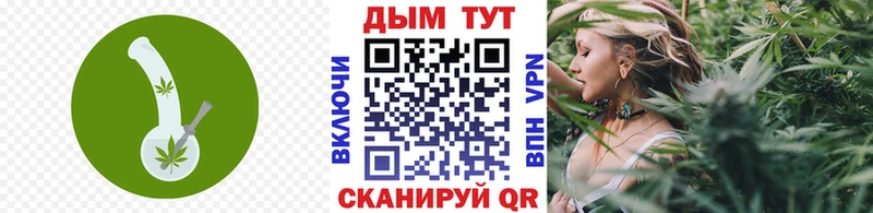 KRAKEN вход  Сафоново  Шишки марихуана сатива 